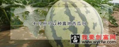 七月份可以种露地西瓜吗