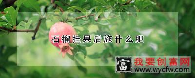 石榴挂果后施什么肥