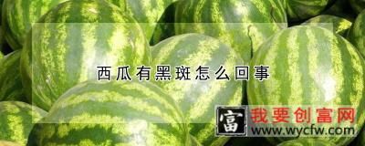 西瓜有黑斑怎么回事