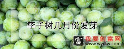 李子树几月份发芽