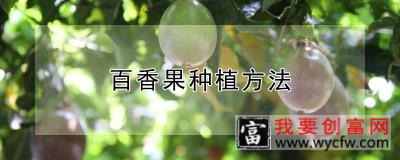 百香果种植方法