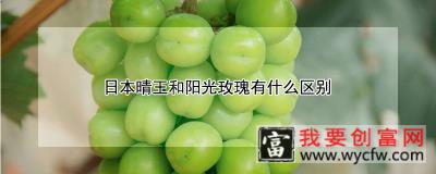 日本晴王和阳光玫瑰有什么区别