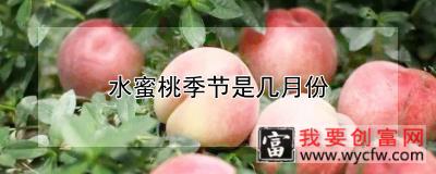 水蜜桃季节是几月份