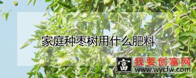 家庭种枣树用什么肥料