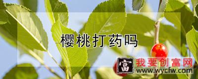 樱桃打药吗