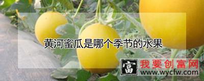 黄河蜜瓜是哪个季节的水果