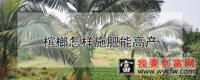 槟榔怎样施肥能高产