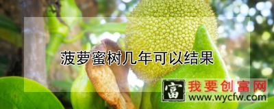 菠萝蜜树几年可以结果