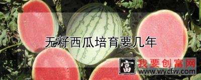 无籽西瓜培育要几年