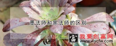 墨法师和黑法师的区别