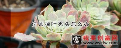 法师掉叶秃头怎么办