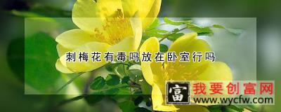 刺梅花有毒吗放在卧室行吗