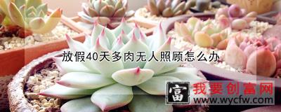 放假40天多肉无人照顾怎么办