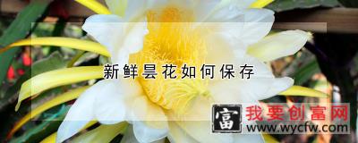 新鲜昙花如何保存