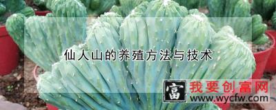 仙人山的养殖方法与技术