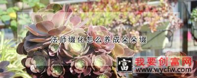 法师缀化怎么养成朵朵缀