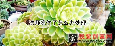 法师冻伤了怎么办处理