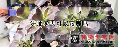 法师冬天可以露养吗