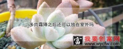 多肉霜降之后还可以放在室外吗