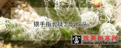 银手指长徒怎么砍头