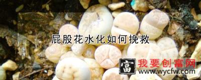 屁股花水化如何挽救