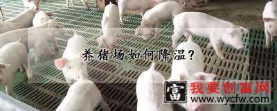 养猪场如何降温？