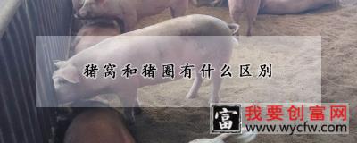 猪窝和猪圈有什么区别