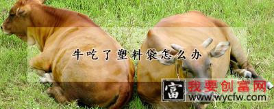 牛吃了塑料袋怎么办