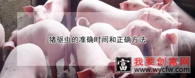 猪驱虫的准确时间和正确方法