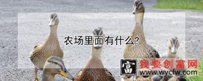 农场里面有什么？