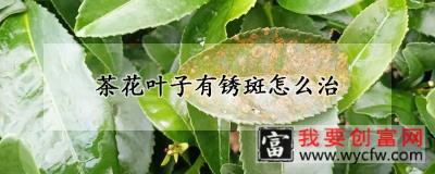 茶花叶子有锈斑怎么治