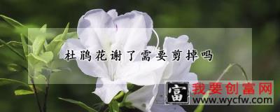 杜鹃花谢了需要剪掉吗