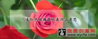 三支红色玫瑰花代表什么意思