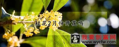 桂花2月份开花吗