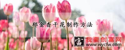 郁金香干花制作方法