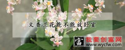 文香兰花能不能放卧室