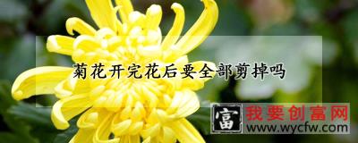 菊花开完花后要全部剪掉吗