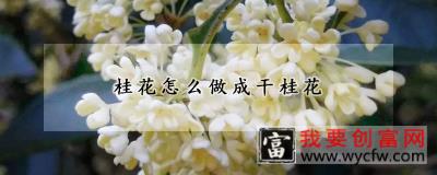 桂花怎么做成干桂花