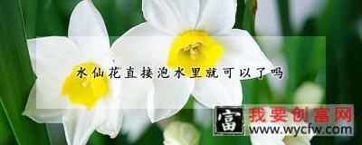 水仙花直接泡水里就可以了吗