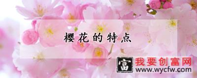 樱花的特点