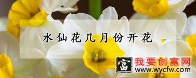 水仙花几月份开花