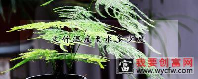 文竹温度要求多少度