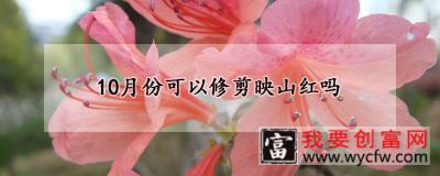 10月份可以修剪映山红吗