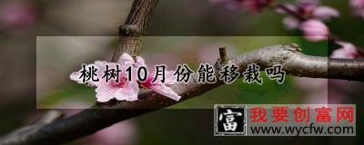 桃树10月份能移栽吗