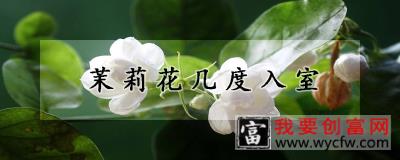 茉莉花几度入室