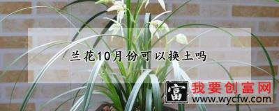 兰花10月份可以换土吗