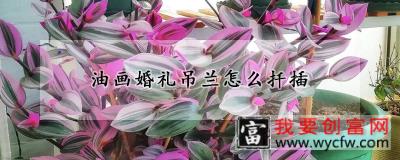 油画婚礼吊兰怎么扦插