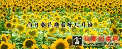 向日葵花期最晚几月份