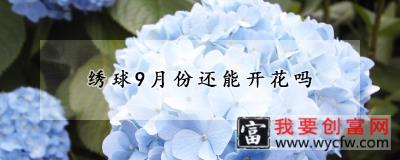 绣球9月份还能开花吗