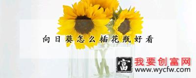 向日葵怎么插花瓶好看